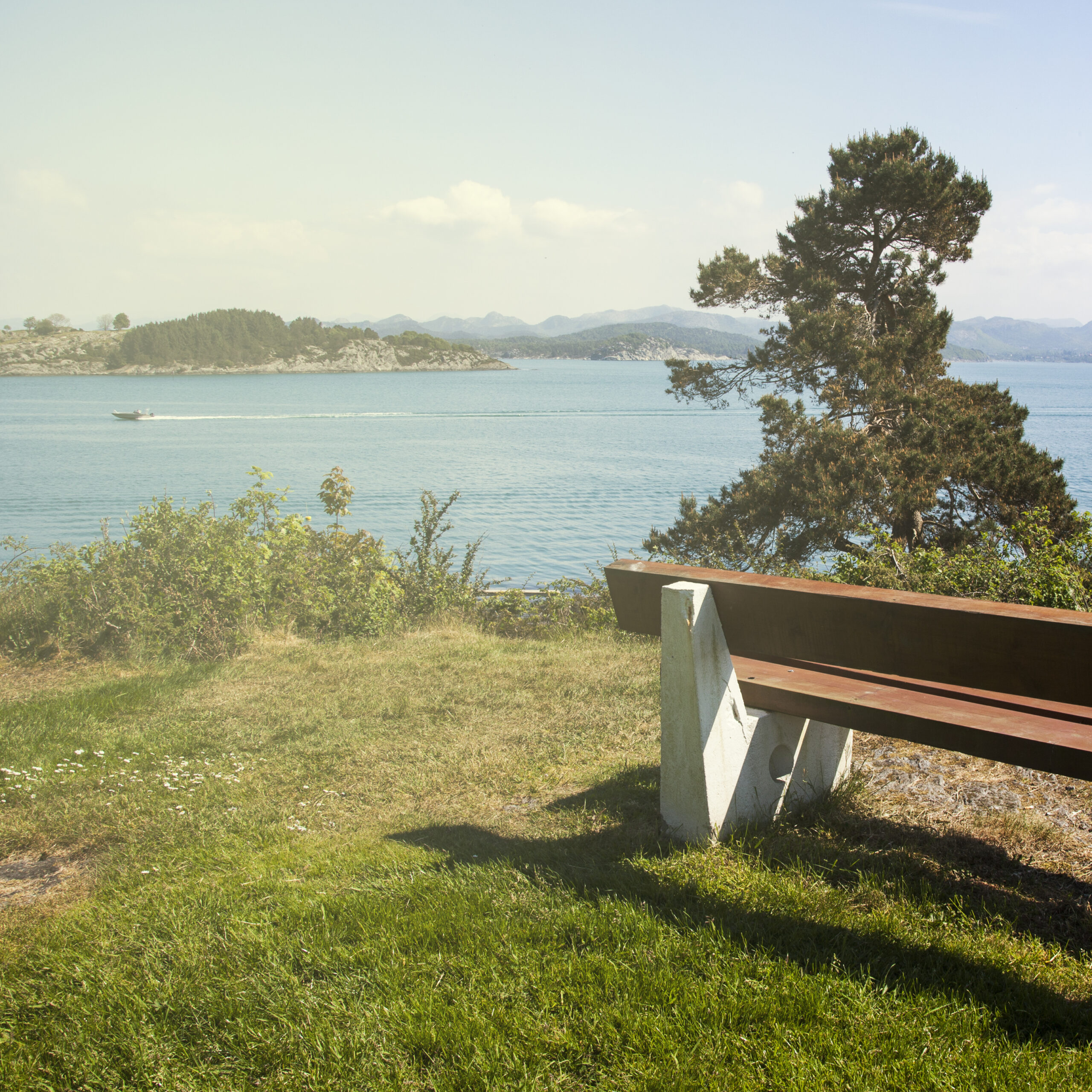 Foto: En benk fra nærområdet med utsikt over fjorden.